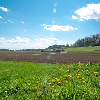 Ausblick in die Region Bad Gleichenberg