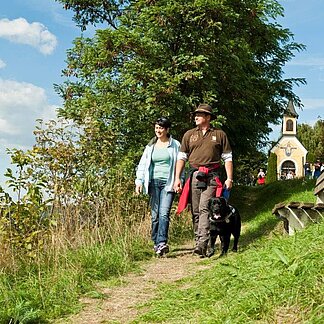 Paar beim Wandern mit Hund