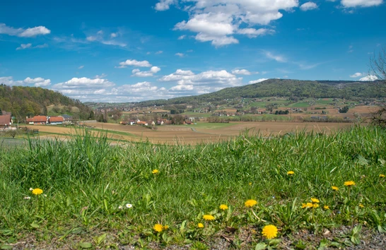 Ausblick in die Region Bad Gleichenberg