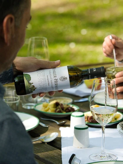 Picknick am Schloss Kapfenstein als Ausflugsziel im Hotel Gasthof Scheer