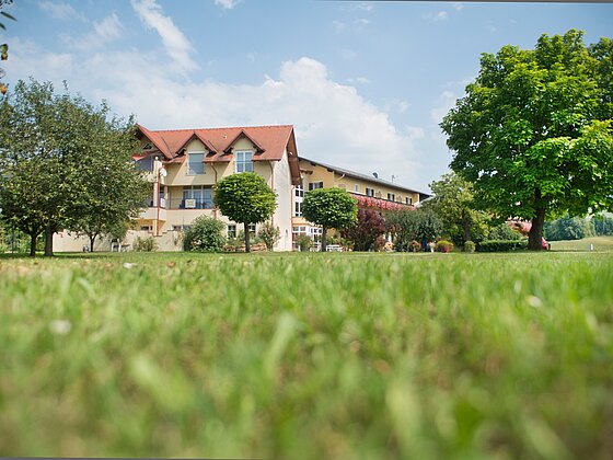 Das Hotel Gasthof Scheer mit Wiese