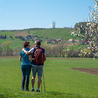 Ausblick auf Bad Gleichenberg