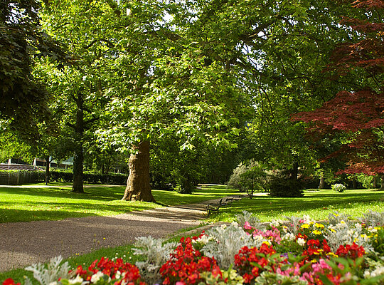 Spazierweg im Kurpark in Bad Gleichenberg