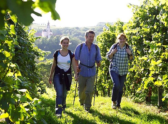 Wandern in einer Gruppe durch den Weingarten